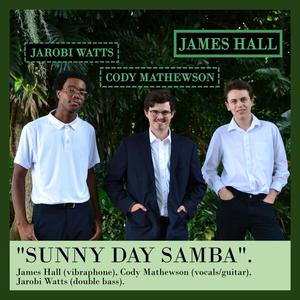 Sunny Day Samba (feat. Cody Mathewson & Jarobi Watts)