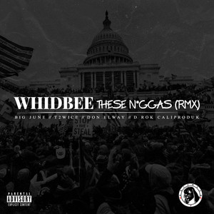 These Niggas (Remix) [feat. Big June, T2wice, D Rok Caliproduk & Don Elway] [Explicit]