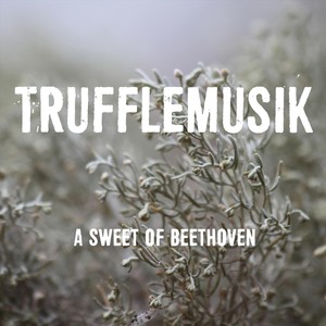 A Sweet of Beethoven