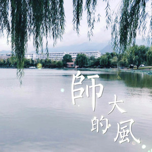 师大的风