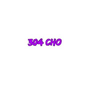 304 Cho