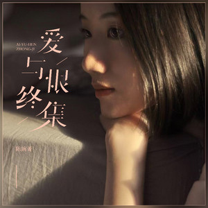 爱与恨终集 (粤语DJ DU remix车载版)