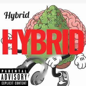 Hybrid (Explicit)