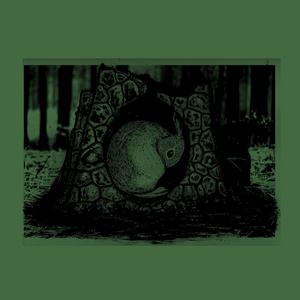 EARTHRISE (feat. Greybloom)