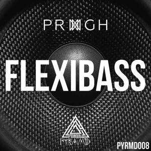 Flexibass