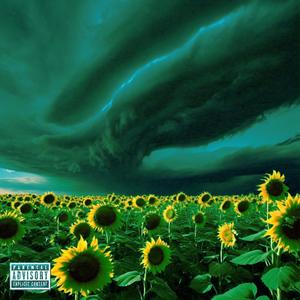 do sunflowers come from the sun? (Explicit)