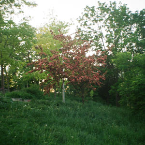 Untitled 5 (feat. ne0paganism)