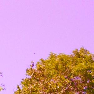 UNTOLD (feat. Nila Moon, Timi-TGB, Starseed, Abdul & onomé) (Explicit)