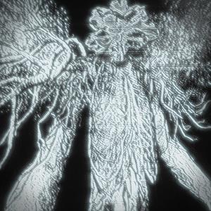 Viuna (Slowed & Reverb)