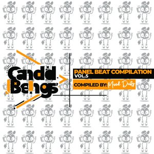 Panel Beat Compilation Vol.5 Compiled By - Mood Dusty