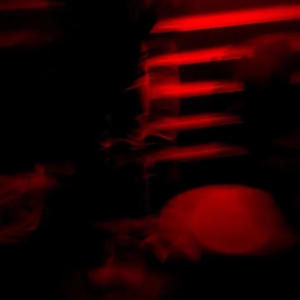 Brand New Peezy (Explicit)