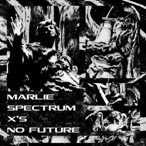 No Future (feat. Marlie Spectrum)