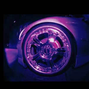 Tokyo (Explicit)