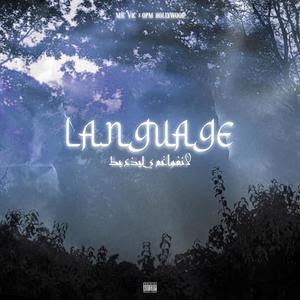 Language(feat. Opm Hollywood) (Explicit)