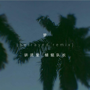 梦(betrayed remix)