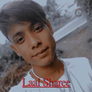 Laal Sharee