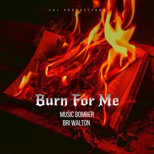 Burn For Me (feat. Bri Walton) [Explicit]