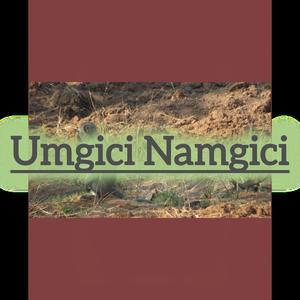 Umgici Namgici