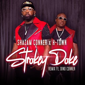 Strokey Doke (Remix|Acapella)