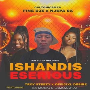 ishandis eserious (feat. troysteezy, officixl desire, SK Musiq & Lamozah02)