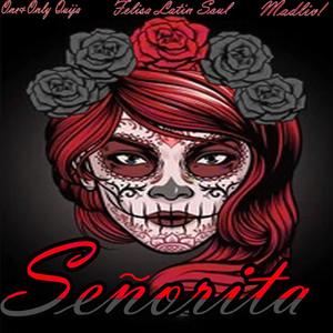SENORITA (feat. FELISA LATIN SOUL & MADLIV)