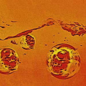 VAPE SMOKE IN THE WIND<3 (Explicit)