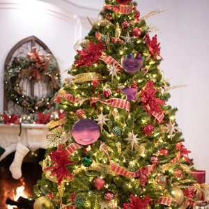 The M1r Who Stole Christmas (Explicit)