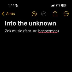 Into the unknown (feat. Ari Bacherman)