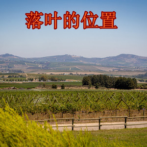 落叶的位置 (DJ版)