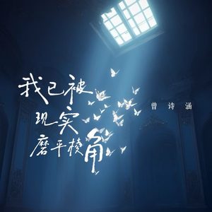 曾诗涵 - 我已被现实磨平棱角 (车载DJ版)