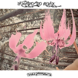 TAMAYODO RELAX (Inst.)