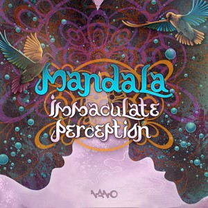 Immaculate Perception (Original Mix)
