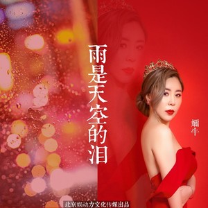雨是天空的泪 (DJ伟然 Radio mix)