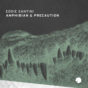 Precaution (Original Mix)