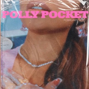 Polly Pocket