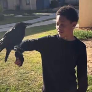 FREESTYLE1 (Explicit)