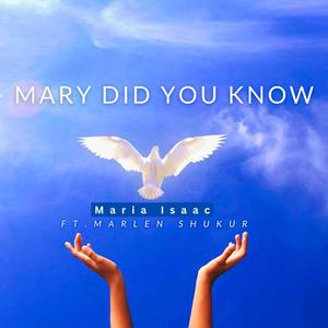 Mary Did You Know (feat. Marlen Shukur)