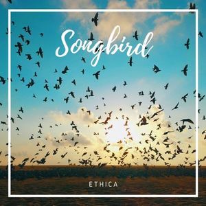 Songbird