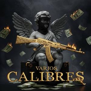 Varios Calibres