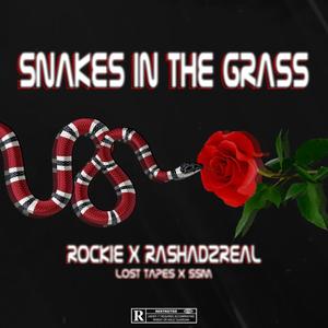 Snakes in the grass (feat. Rashad2Real) (Explicit)