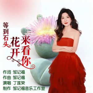 等到石头花开来看你 (伴奏)封面