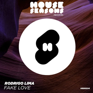 Fake Love (Original Mix)