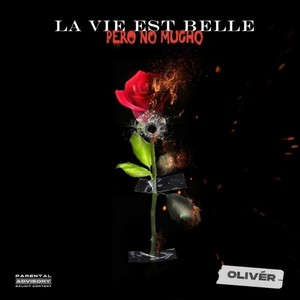 La Vie Est Belle Pero No Mucho (Explicit)