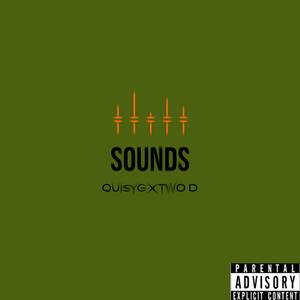 Sounds (feat. TWO D) [Explicit]