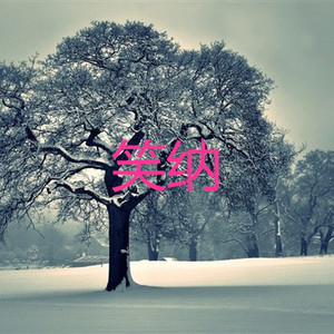 笑纳 (说唱版)