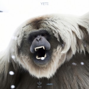 YETI