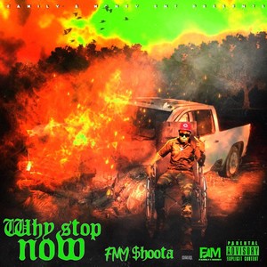 Why Stop Now (Deluxe) [Explicit]