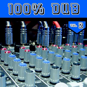 100% DUB Vol. 2