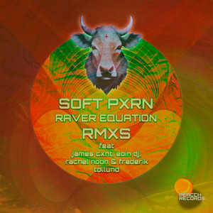 Raver Equation RMXS