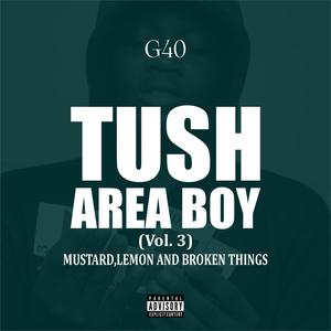 Tush Area Boy (Vol 3) Mustard, Lemon and Broken Things [Explicit]